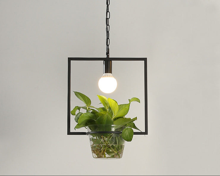 Homestay Plant Personality Creative Lamps