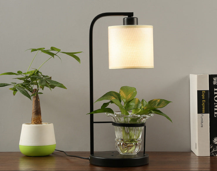 Homestay Plant Personality Creative Lamps